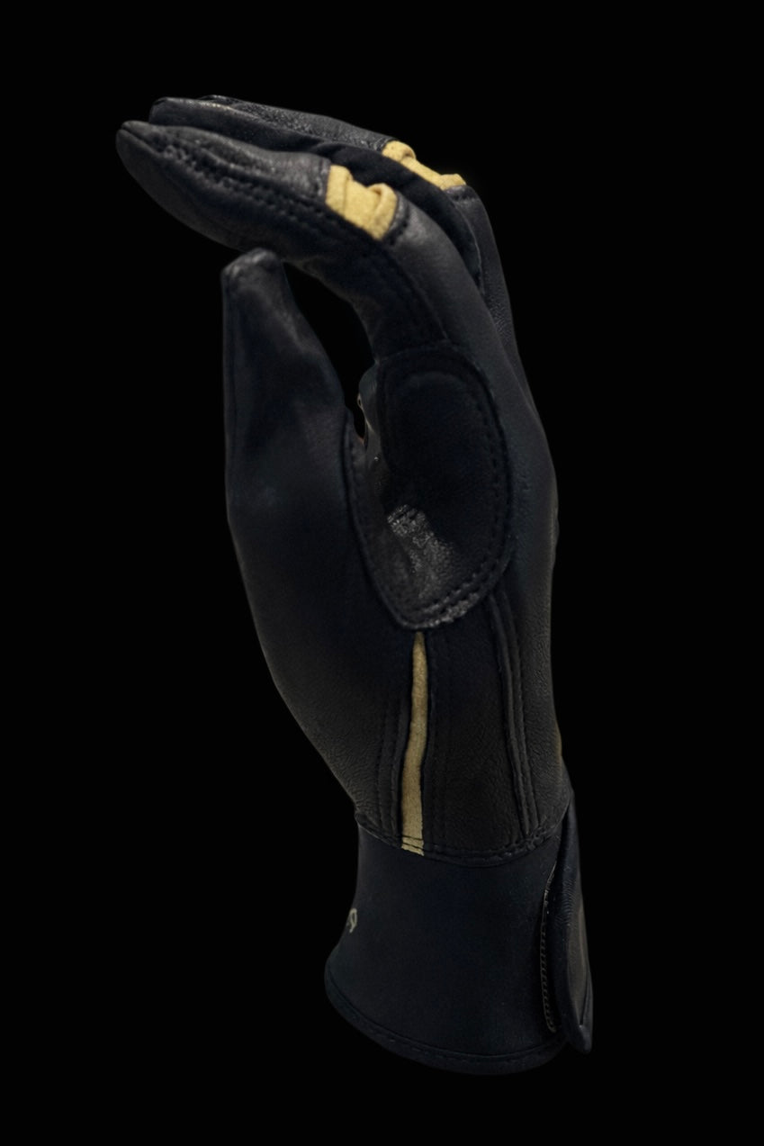 Black and Metallic Gold Batting Gloves