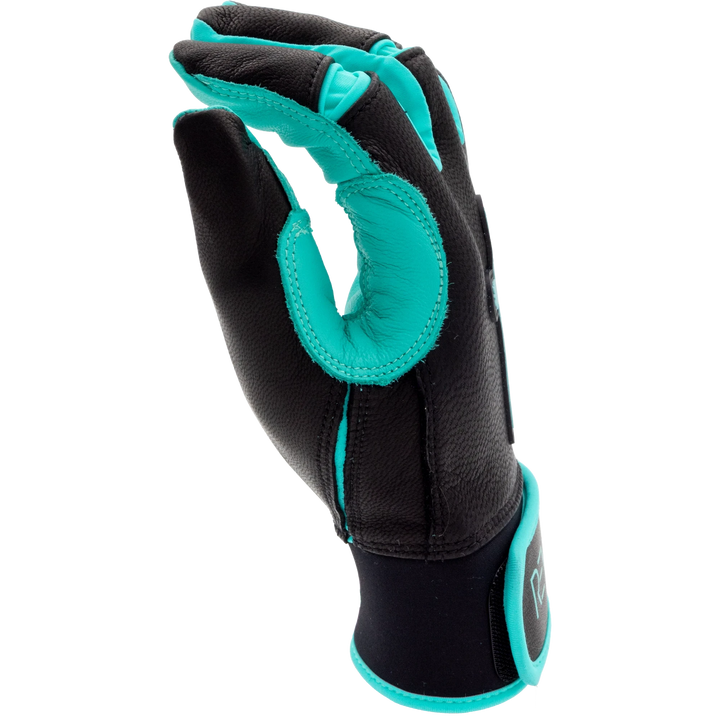 Black and Teal Batting Gloves