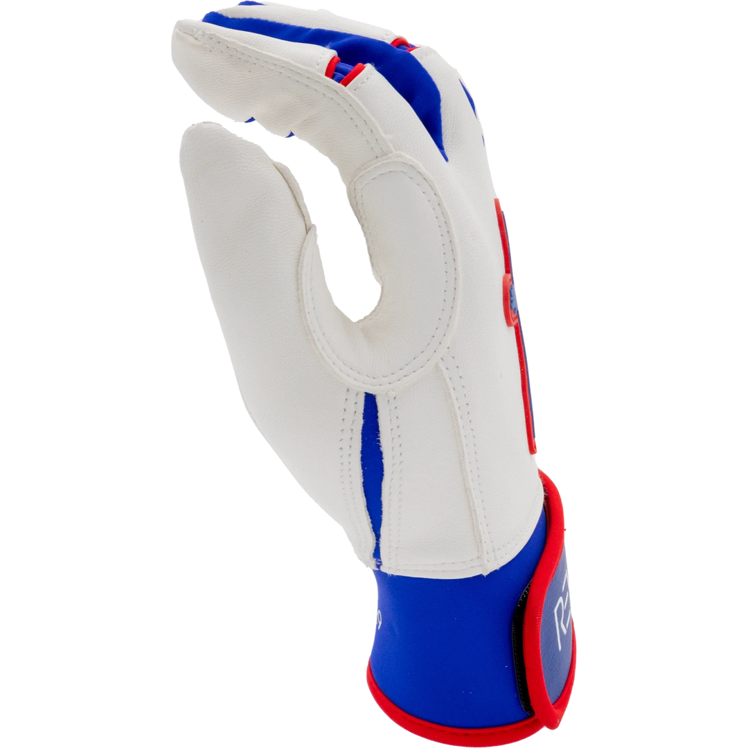 White, Blue, and Red Batting Gloves