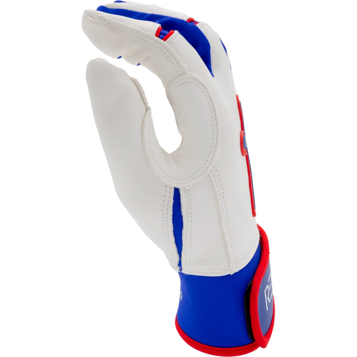 White, Blue, and Red Batting Gloves