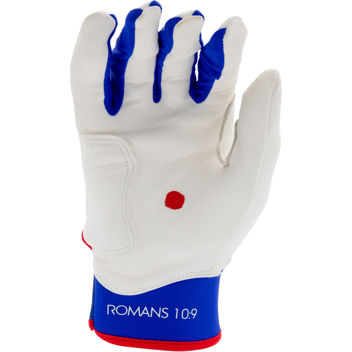 White, Blue, and Red Batting Gloves